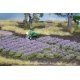 Lavender Tufts -- Strips & Tufts pkg(36), HO, Noch Gmbh & Co 7136