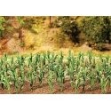 Corn Stalks -- Kit pkg(36), All Scales, Faller Gmbh 181250