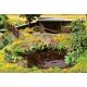 Water & Riverside Plants - Laser-Cut Minis(R) -- Makes 17 Plants, HO, Noch Gmbh & Co 14052