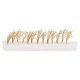 Reed Bundles -- pkg(22), HO, Faller Gmbh 181287