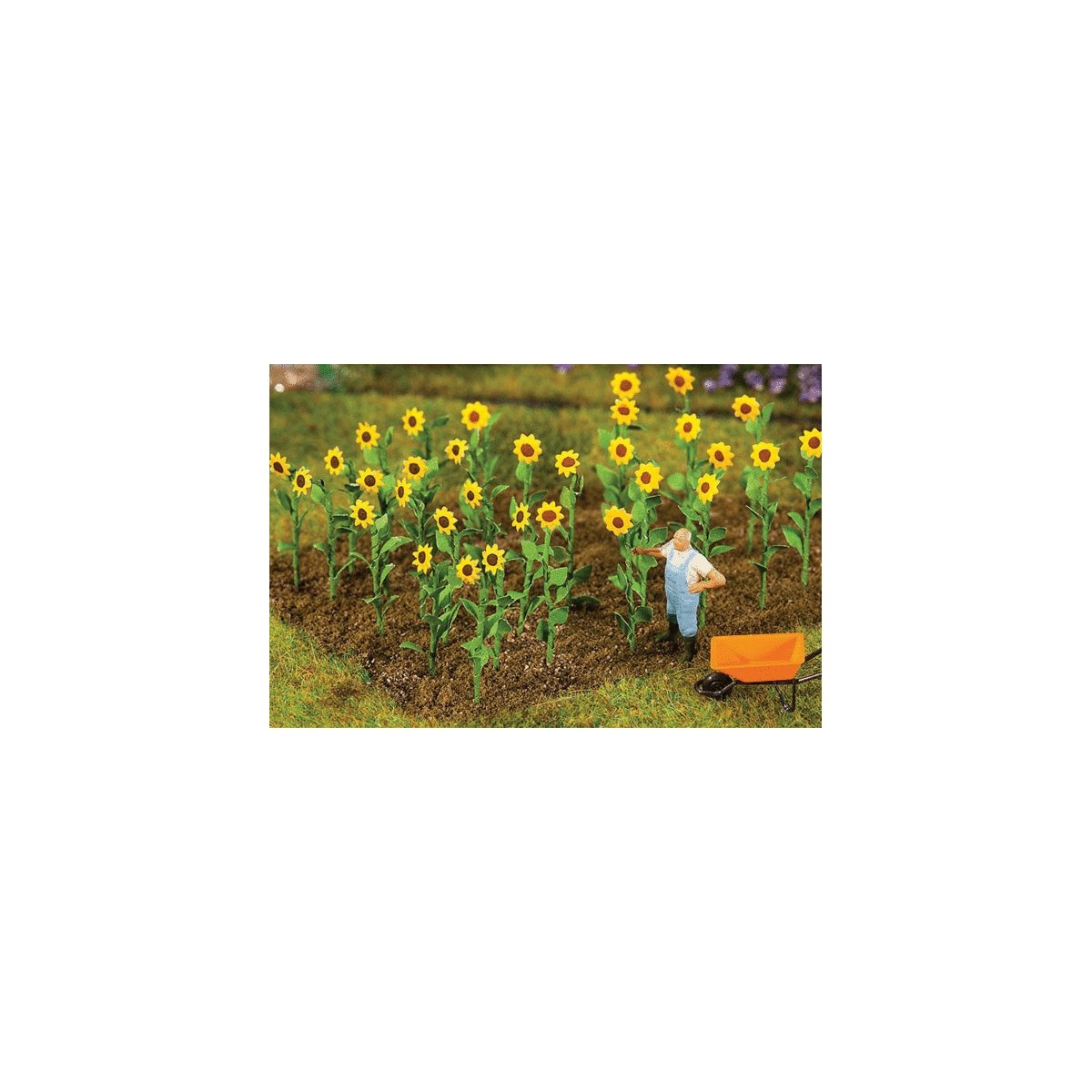 Sunflowers -- pkg(16), All Scales, Faller Gmbh 181256