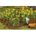 Sunflowers -- pkg(16), All Scales, Faller Gmbh 181256