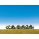 Blooming Bushes 1-1/2′, All Scales, Faller Gmbh 181478