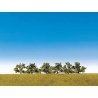 Blooming Bushes 1-1/2′, All Scales, Faller Gmbh 181478
