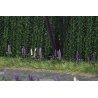 Wild Lupines pkg(16), HO, Busch Gmbh & Co Kg 1217