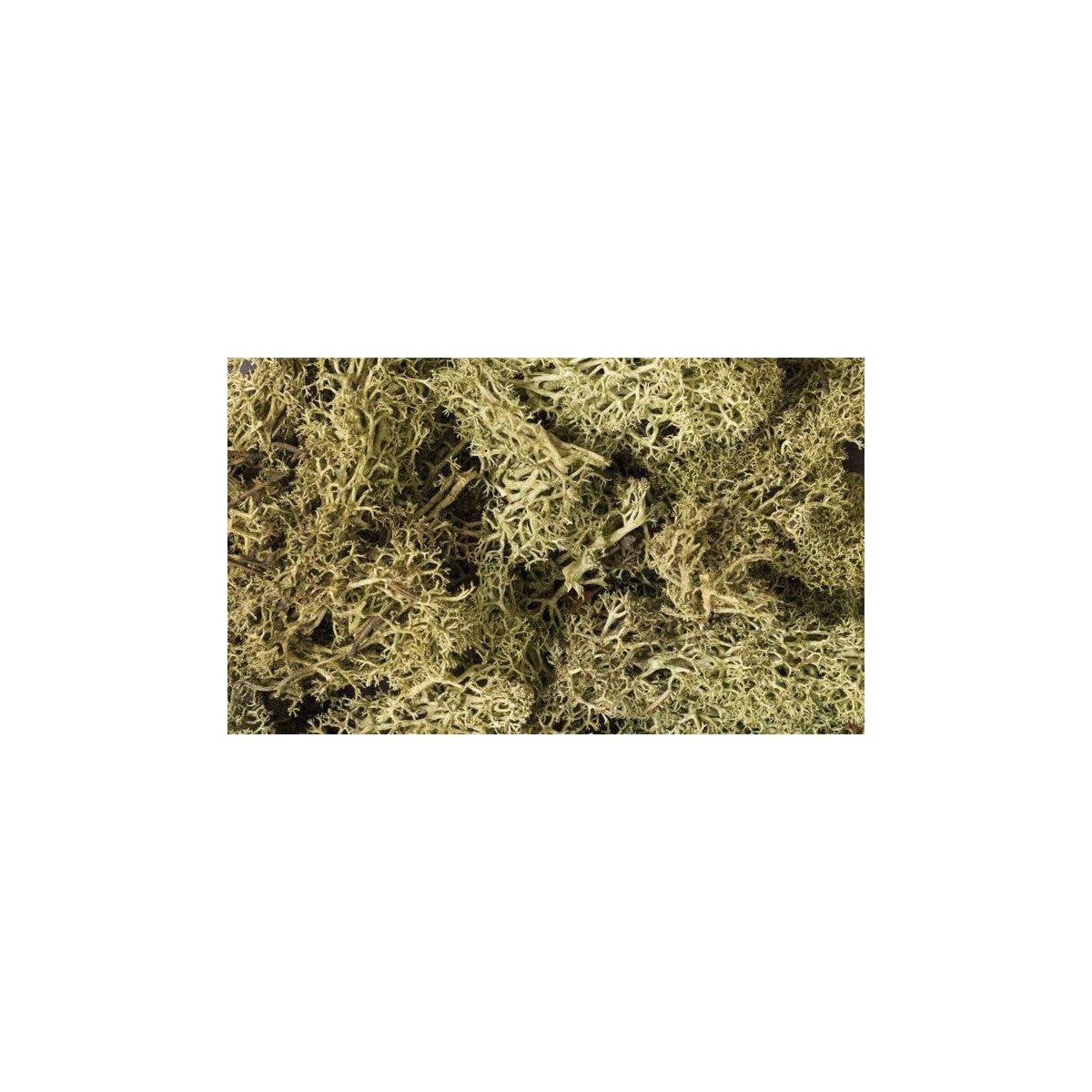 Lichen - 1.5qts 1.4L -- Spring Green, All Scales, Woodland Scenics 161
