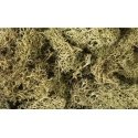 Lichen - 1.5qts 1.4L -- Spring Green, All Scales, Woodland Scenics 161