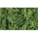 Lichen - 1.5qts 1.4L -- Medium Green, All Scales, Woodland Scenics 163