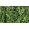 Lichen - 1.5qts 1.4L -- Medium Green, All Scales, Woodland Scenics 163