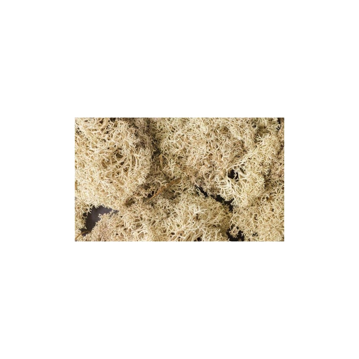 Lichen - 1.5qts 1.4L -- Natural Color, All Scales, Woodland Scenics 166