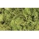 Lichen - 1.5qts 1.4L -- Light Green, All Scales, Woodland Scenics 162
