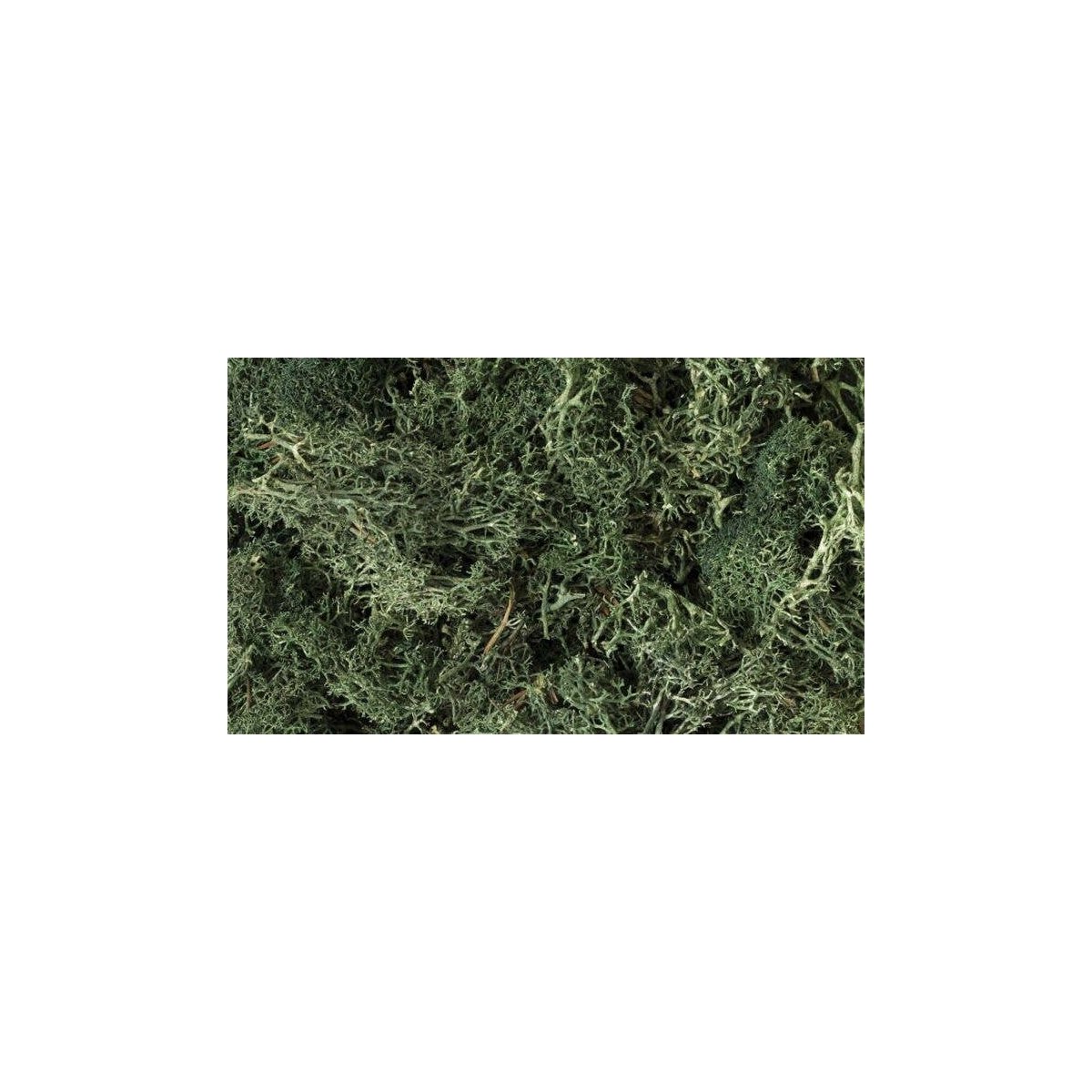 Lichen - 1.5qts 1.4L -- Dark Green, All Scales, Woodland Scenics 164