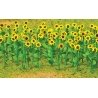 Sunflowers - Assembled -- 1′ 2.5cm Tall pkg(16), HO, JTT Miniature Tree 95523