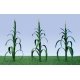 Corn Stalks -- 1′ 2.5cm Tall pkg(30), HO, JTT Miniature Tree 95552