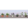Assorted Potted Flower Plants -- Set 1 pkg(6), O, JTT Miniature Tree 95566