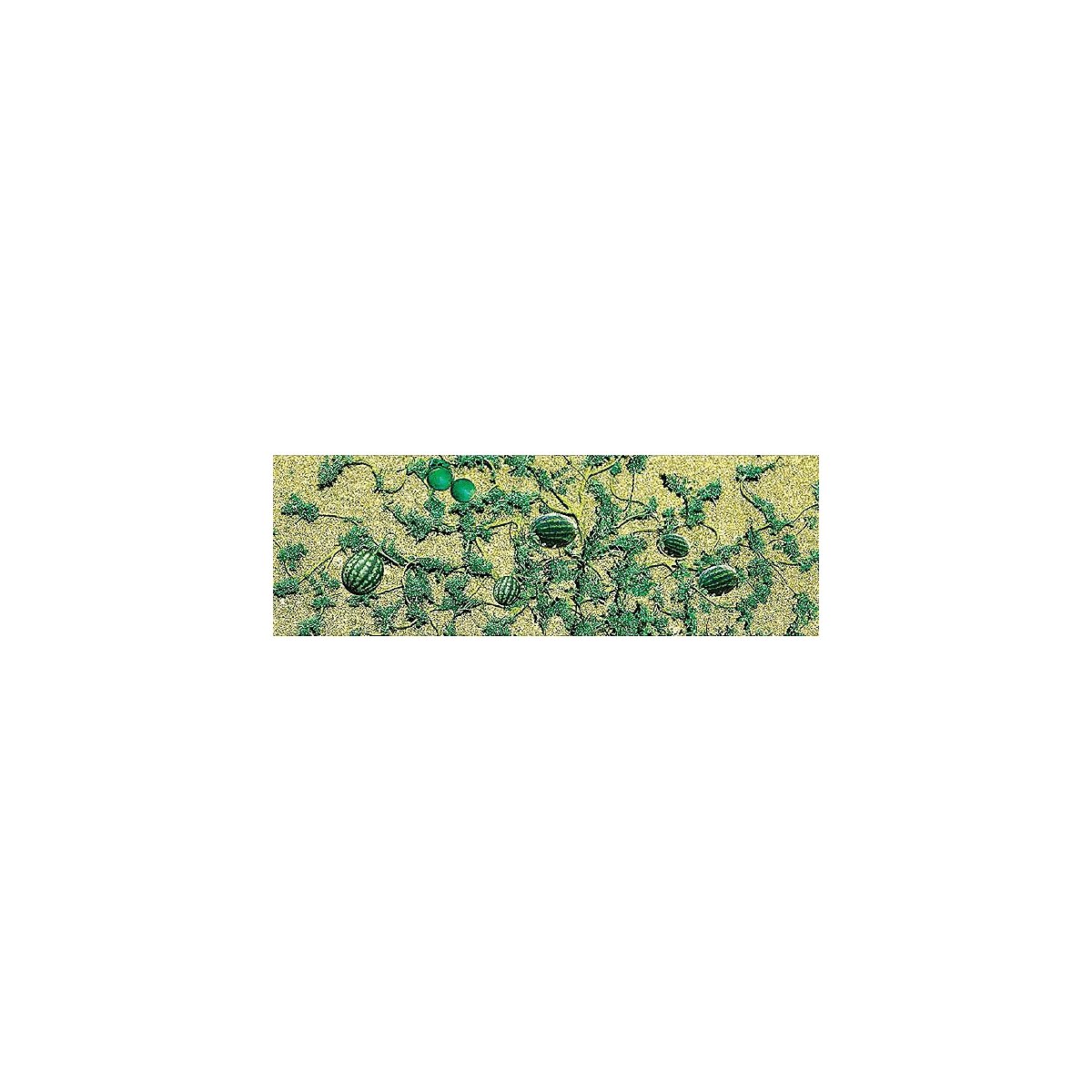 Watermelon Patch -- pkg(4), O, JTT Miniature Tree 95576