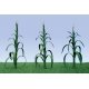 Corn Stalks -- 2′ 5cm Tall pkg(28), O, JTT Miniature Tree 95553