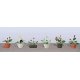 Assorted Potted Flower Plants -- Set 3 pkg(6), HO, JTT Miniature Tree 95569