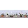 Assorted Potted Flower Plants -- Set 3 pkg(6), O, JTT Miniature Tree 95570