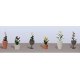 Assorted Potted Flower Plants -- Set 4 pkg(6), HO, JTT Miniature Tree 95571