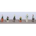 Assorted Potted Flower Plants -- Set 4 pkg(6), O, JTT Miniature Tree 95572