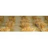 Detachable Bushes pkg(30) -- Wheat - Wheat Grass 3/8′ 1cm Tall, HO, JTT Miniature Tree 95579