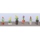 Assorted Potted Flower Plants -- Set 2 pkg(6), O, JTT Miniature Tree 95568