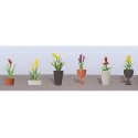Assorted Potted Flower Plants -- Set 2 pkg(6), O, JTT Miniature Tree 95568