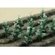 Tobacco Plants -- pkg(16), HO, JTT Miniature Tree 95586