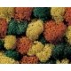 Lichen Single Pack -- Autumn Assorted, All Scales, Noch Gmbh & Co 8630