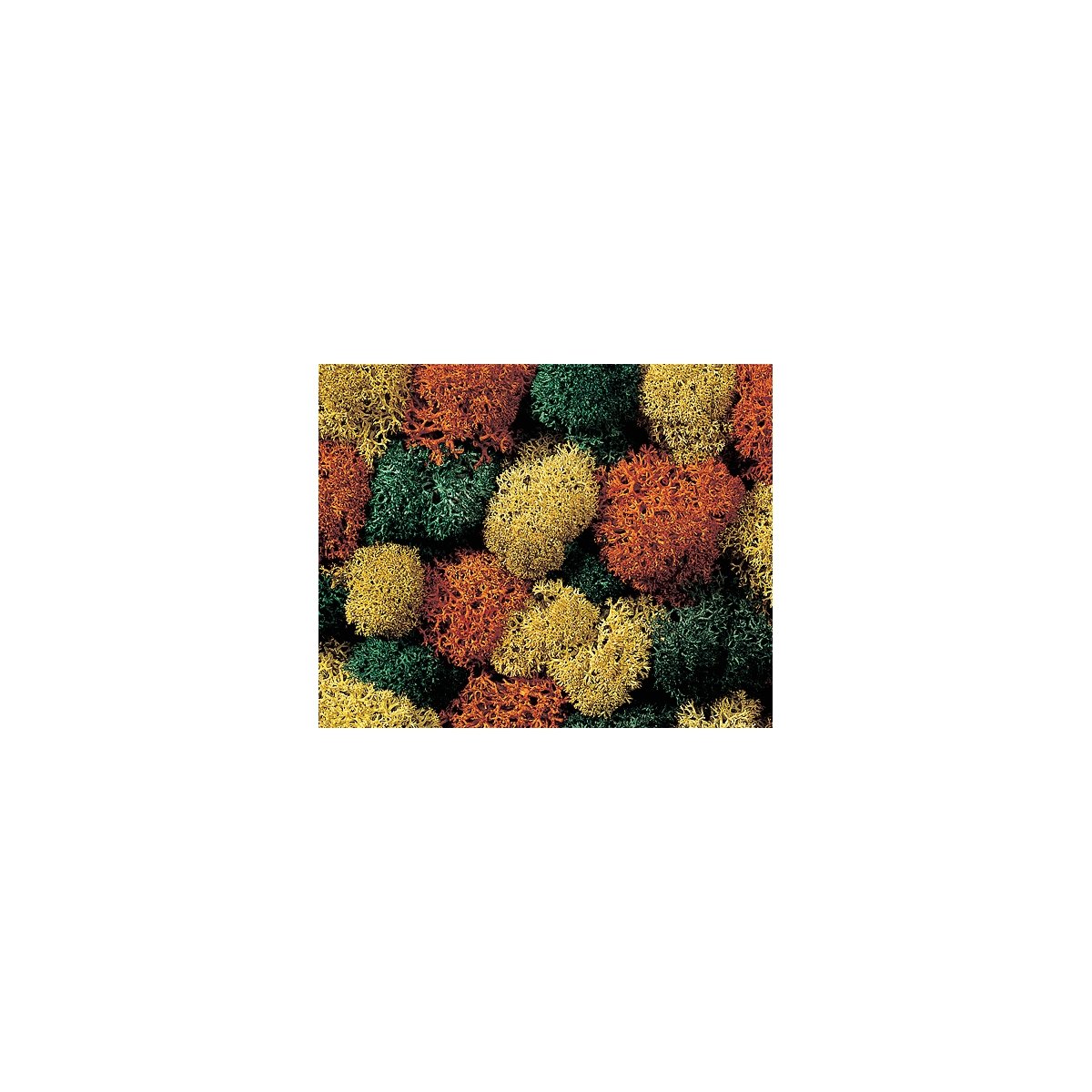 Lichen Single Pack -- Autumn Assorted, All Scales, Noch Gmbh & Co 8630