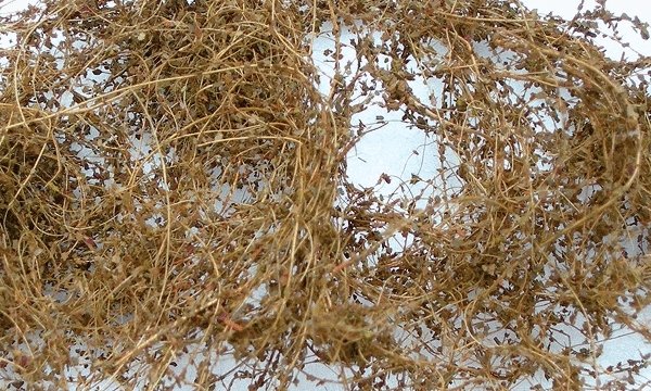 Dry Vines (Dead Foliage) -- .35oz 10g, HO, JTT Miniature Tree 95063