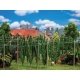 Hop Field with Poles -- Builds up to: 5-7/8 x 4-3/4 x 3-9/16′ 15 x 12 x 9cm, HO, Faller Gmbh 181280
