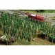 Hop Field with Poles -- Builds up to: 5-7/8 x 4-3/4 x 3-9/16′ 15 x 12 x 9cm, HO, Faller Gmbh 181280