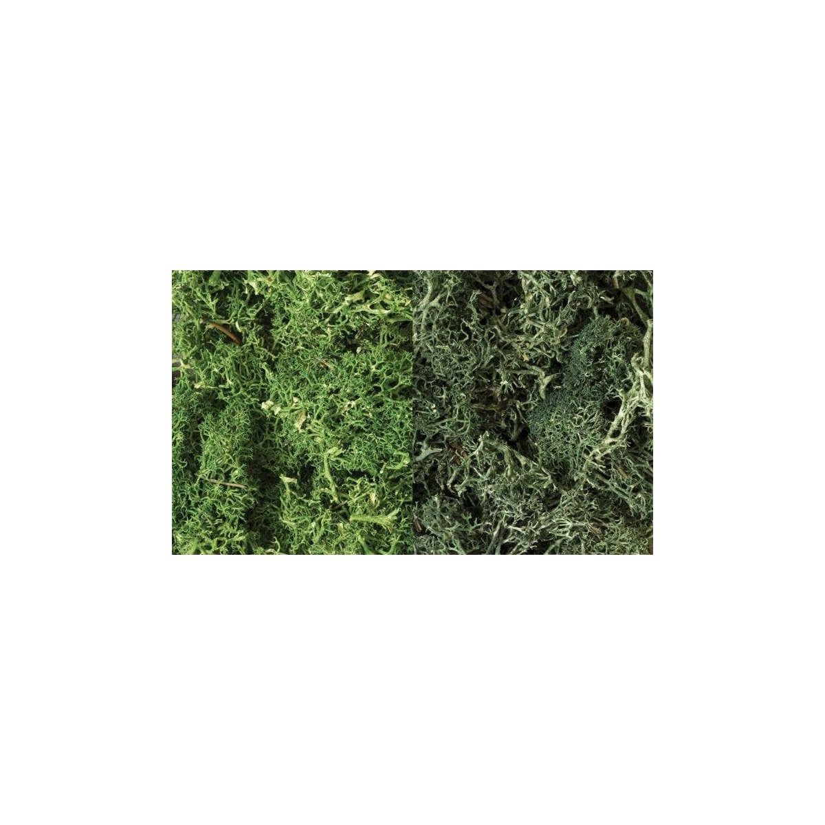 Lichen - 48oz 2.84L -- Dark Green Mix, All Scales, Woodland Scenics 168