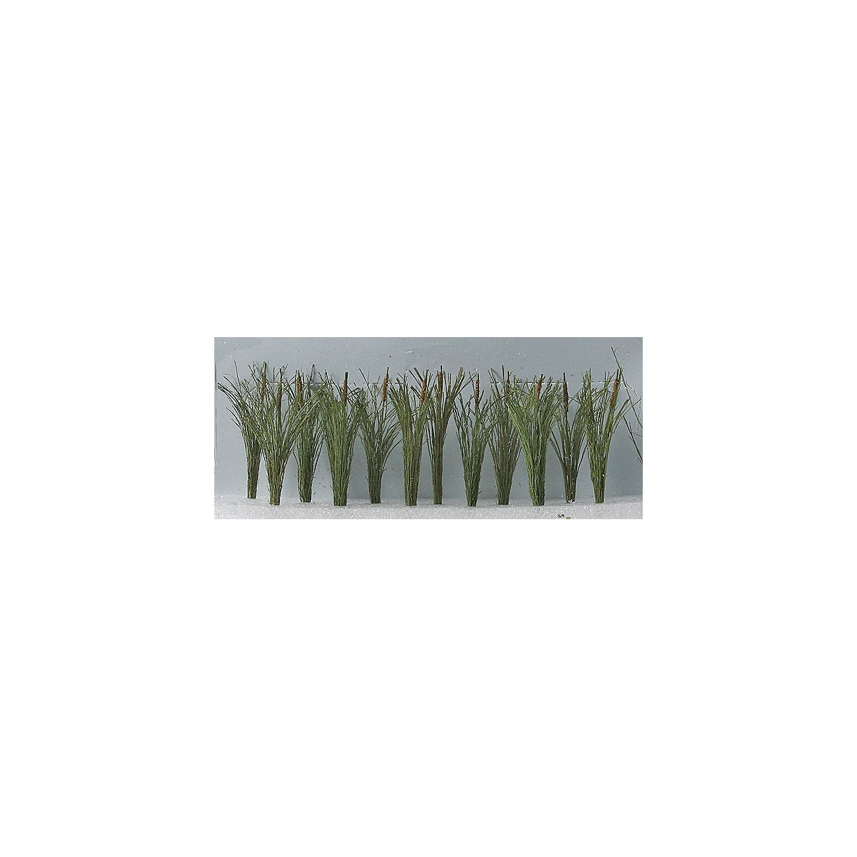 Cattails -- 1-1/2′ 3.8cm Tall pkg(24), O, JTT Miniature Tree 95536