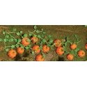 Pumpkins -- 1-3/8′ 3.5cm Long pkg(6), HO, JTT Miniature Tree 95531