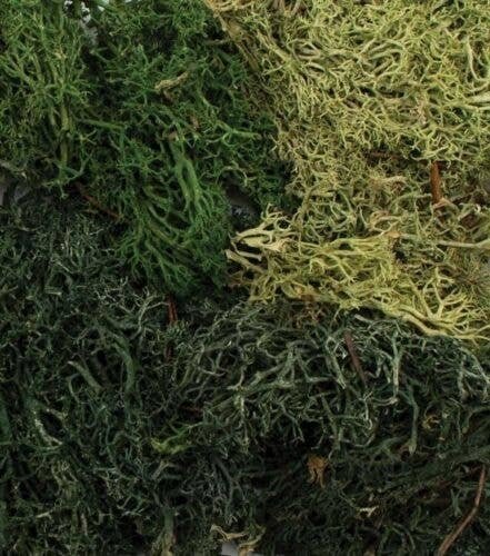 EZ Bushes - All Game Terrain -- Summer Mix, All Scales, Woodland Scenics 6501