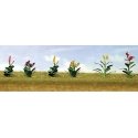 Assorted Flower Plants -- Set 4 pkg(10), O, JTT Miniature Tree 95564