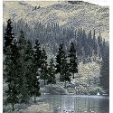 Coniferous Tree Pack - Ready Made Trees(TM) -- 4 to 6′ 10.2 to 15.2cm pkg(24), All Scales, Woodland Scenics 1581