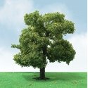 Pro-Elite Series Tree -- Sycamore 3-1/2 to 4′ 8.9 to 10.2cm Tall pkg(2), HO, JTT Miniature Tree 92310
