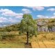 Lime Tree, All Scales, Faller Gmbh 181701