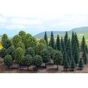 Mixed Forest Trees pkg(50) -- 20 Deciduous: 2-3/4 to 4-15/16` 30 Pine: 1-31/32 to 4-5/16`, HO, Busch Gmbh & Co Kg 6491