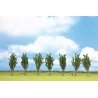Classic Series Deciduous Tree Economy Pack -- Poplar 4-3/4′ 12cm Tall pkg(7), All Scales, Noch Gmbh & Co 25098