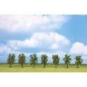 Classic Series Deciduous Tree Economy Pack -- Green 3-1/8′ 8cm Tall pkg(7), All Scales, Noch Gmbh & Co 25088
