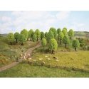 Deciduous Trees -- 2 - 3-9/16′ 5-9cm Tall pkg(25), All Scales, Noch Gmbh & Co 26801