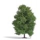 Aspen Tree -- Late Summer 4-1/2′ 11.5cm Tall, HO, Busch Gmbh & Co Kg 3743