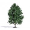 Summer Aspen Tree - Exclusive -- 5-7/8′ 15cm Tall, HO, Busch Gmbh & Co Kg 3742