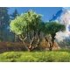 Hardwood Tree -- 6′ 15.2cm pkg(2), All Scales, Grand Central Scenery T30