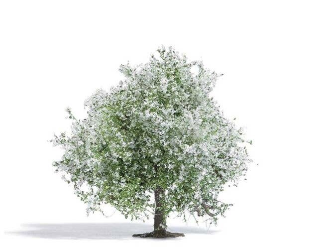 Blossoming Apple Tree - Exclusive -- 2-15/16′ 7.5cm Tall, HO, Busch Gmbh & Co Kg 3651